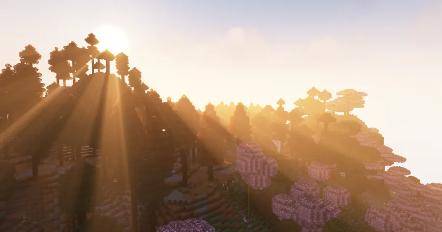Wilderness