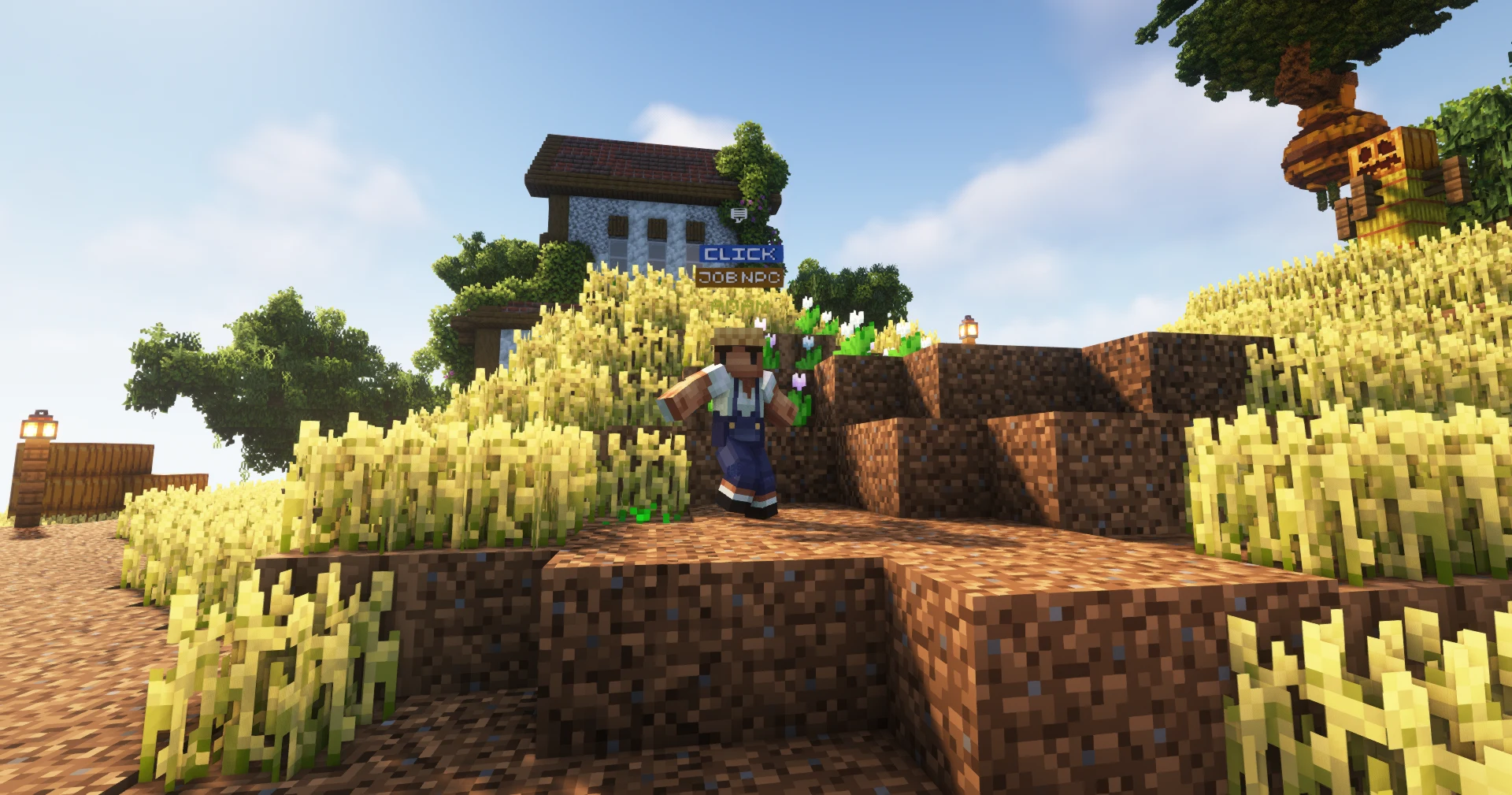 Adam in the wheat fields