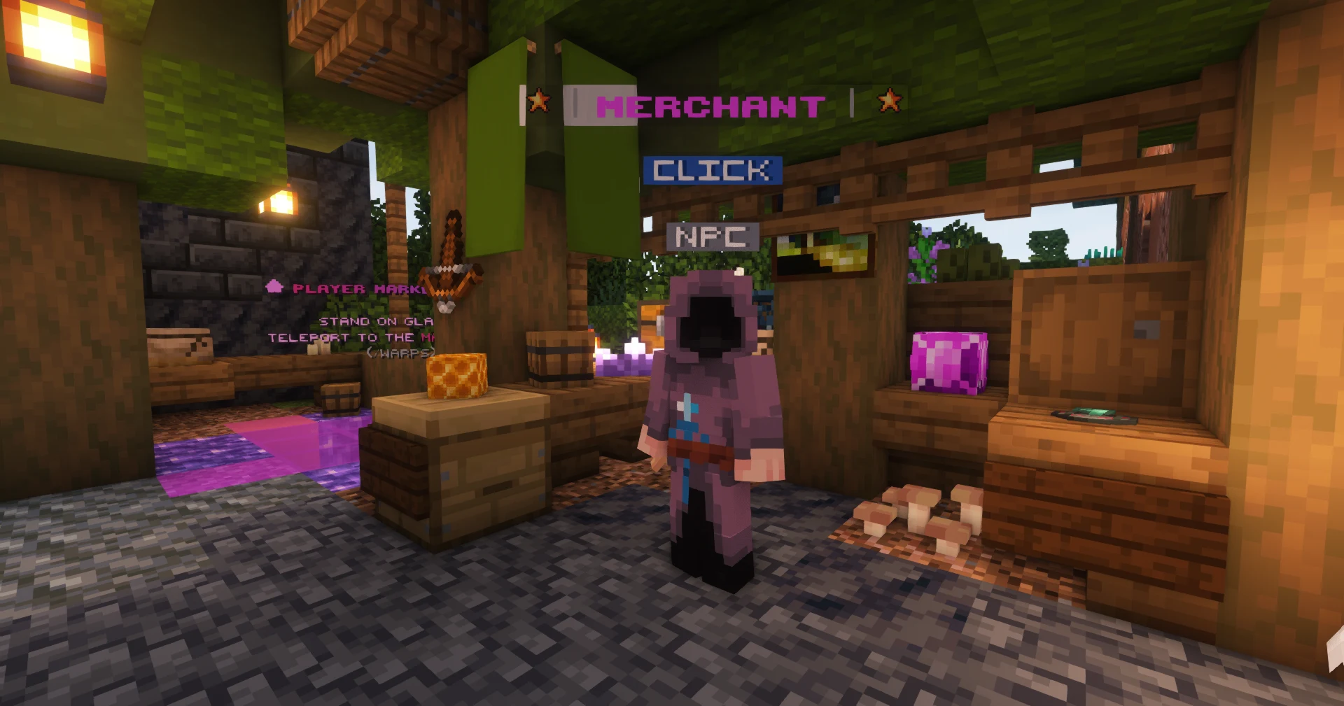 The Travelling Merchant at spawn